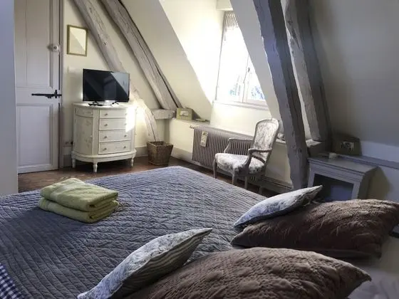 Classic Tek Büyük Yataklı Oda, 1 Büyük (Queen) Boy Yatak, Bahçe Manzaralı (Les Falaises)