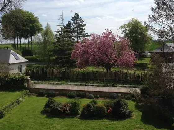 Deluxe Tek Büyük Yataklı Oda, 1 En Büyük (King) Boy Yatak (Sherlock Holmes)