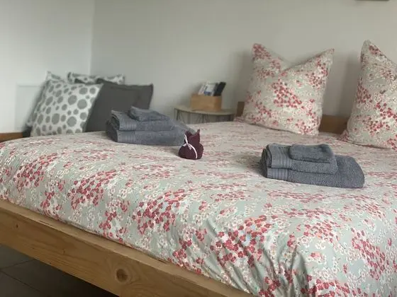 Comfort Tek Büyük Yataklı Oda, Banyolu/Duşlu, Bahçe Manzaralı (Chambre Pink Lady)