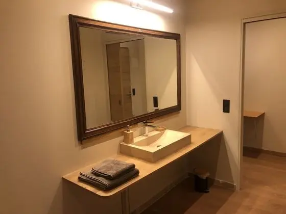 Superior Tek Büyük veya İki Ayrı Yataklı Oda