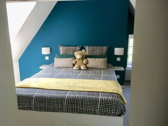 Tek Büyük Yataklı Oda, Banyolu/Duşlu (De Luxe 1)