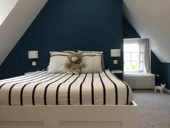 Tek Büyük Yataklı Oda, Banyolu/Duşlu (De Luxe 1)