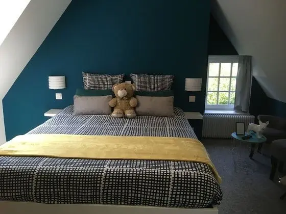 Tek Büyük Yataklı Oda, Banyolu/Duşlu (De Luxe 1)