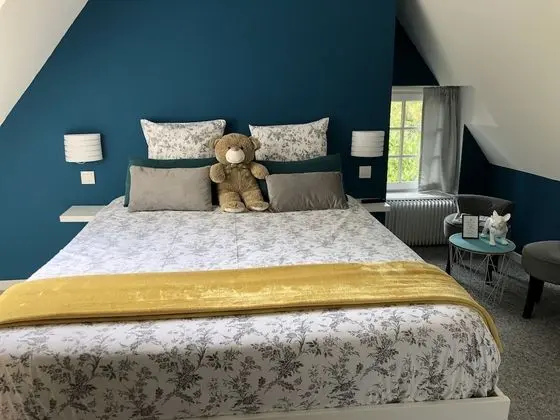 Tek Büyük Yataklı Oda, Banyolu/Duşlu (De Luxe 1)