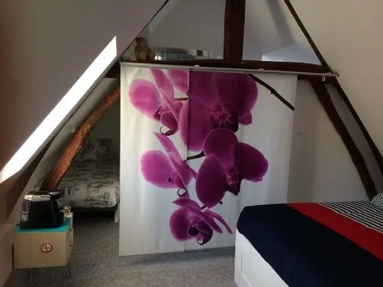 Tek Büyük Yataklı Oda, Banyolu/Duşlu (De Luxe 3)