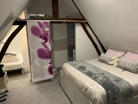 Tek Büyük Yataklı Oda, Banyolu/Duşlu (De Luxe 3)