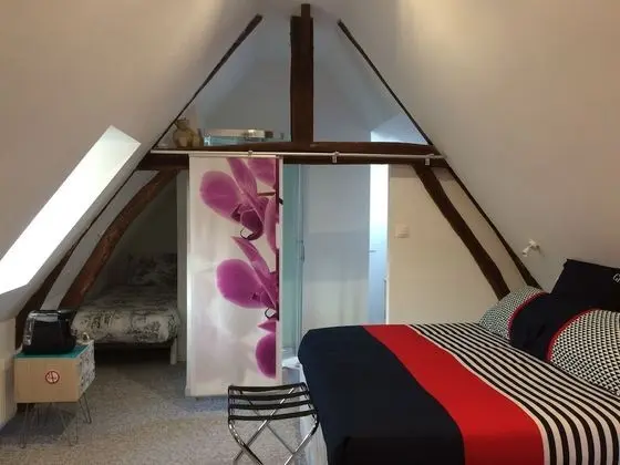 Tek Büyük Yataklı Oda, Banyolu/Duşlu (De Luxe 3)