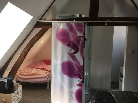 Tek Büyük Yataklı Oda, Banyolu/Duşlu (De Luxe 3)