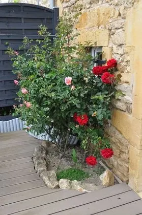 Romantic Tek Büyük Yataklı Oda, Teras, Bahçeli