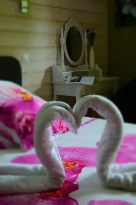 Tek Büyük Yataklı Oda, 1 Büyük (Queen) Boy Yatak (Orchidée)