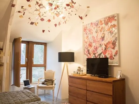 Superior Tek Büyük veya İki Ayrı Yataklı Oda, Banyolu/Duşlu (Chambre Les Libellules)