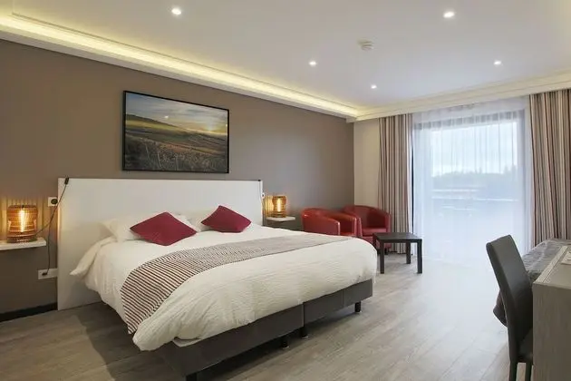 Premium Tek Büyük Yataklı Oda, Avlu Manzaralı (Avec Accès Handicapé )