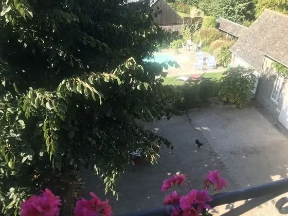 Comfort Oda, 1 Büyük (Queen) Boy Yatak, Havuz Manzaralı (Tilleul)