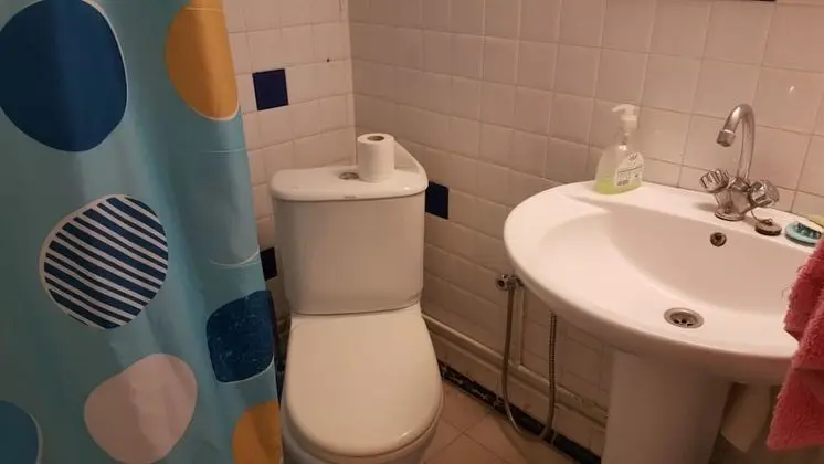 Traditional Apart Daire, 1 Yatak Odası
