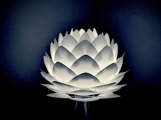 Classic Tek Büyük Yataklı Oda, Banyolu/Duşlu, Üzüm Asması Manzaralı (ESTUAIRE)