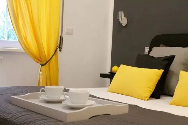 Premium Tek Büyük Yataklı Oda