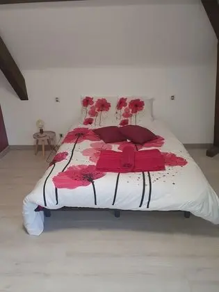 Standard Tek Büyük Yataklı Oda, 1 Çift Kişilik Yatak, Özel Banyo