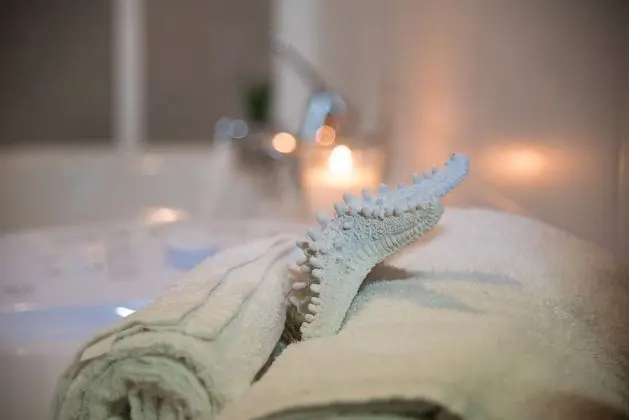 Tek Büyük Yataklı Oda, Ortak Banyo