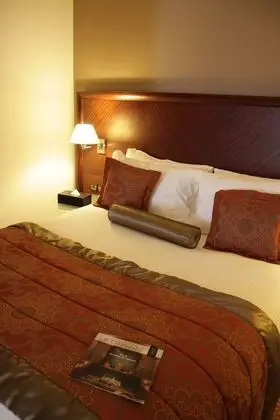 Deluxe Tek Büyük Yataklı Oda, 1 Çift Kişilik Yatak