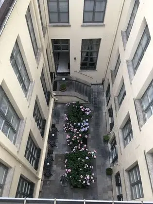 Standard Tek Büyük Yataklı Oda (Patio)