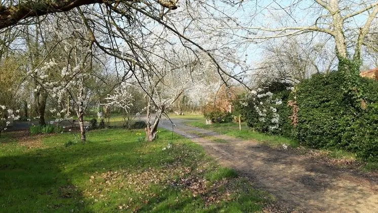 Comfort Dağ Evi (Acacia)