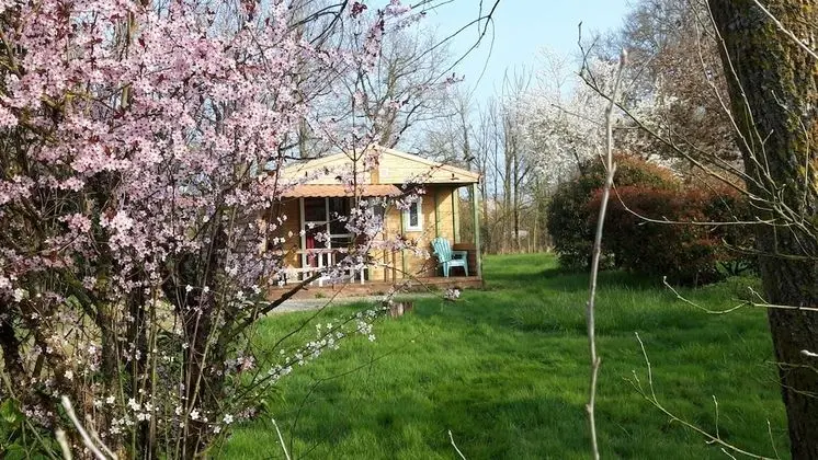 Comfort Dağ Evi (Acacia)