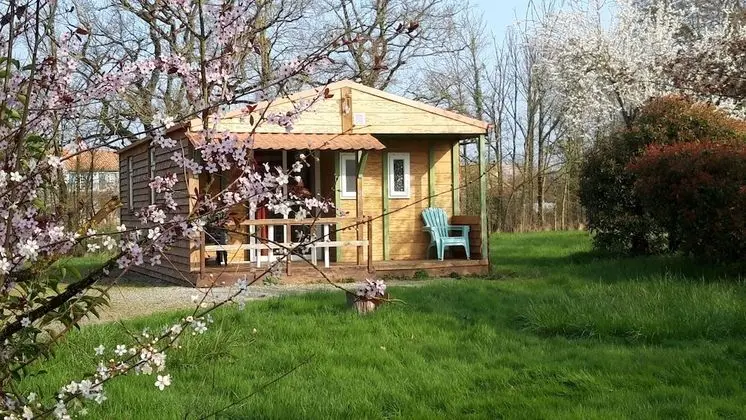Comfort Dağ Evi (Acacia)