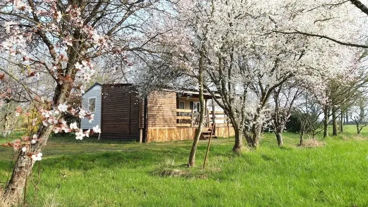 Comfort Karavan (Les Ajoncs)