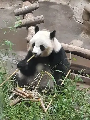 Comfort Kır Evi, Banyolu/Duşlu