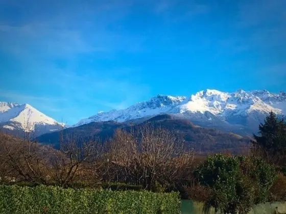Classic İki Ayrı Yataklı Oda
