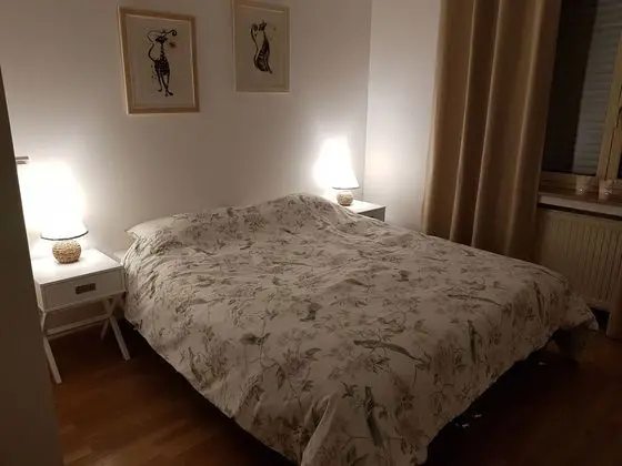 Tek Büyük Yataklı Oda (Pivoine)
