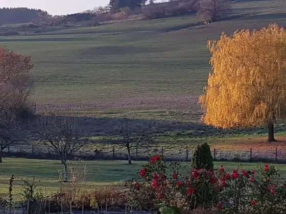 Tek Büyük Yataklı Oda (Pivoine)