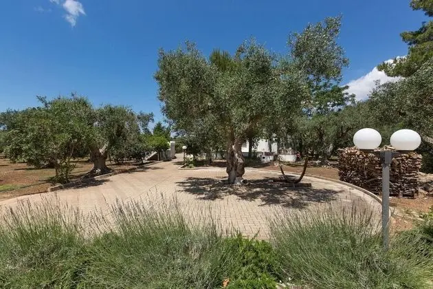 Villa, 5 Yatak Odası