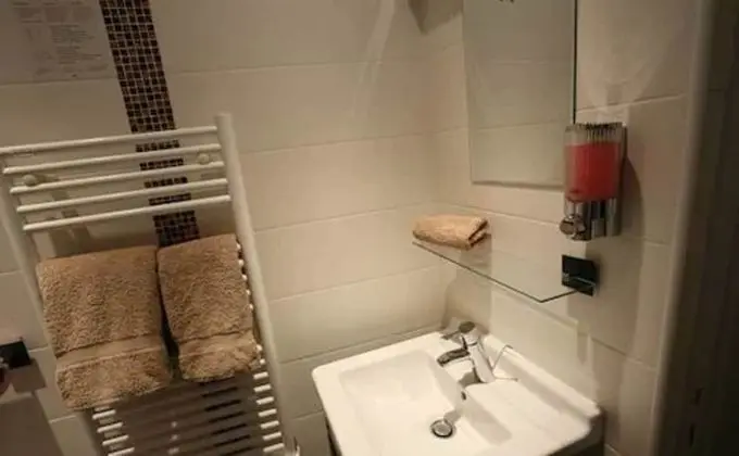 Classic Tek Büyük Yataklı Oda, Bahçe Manzaralı