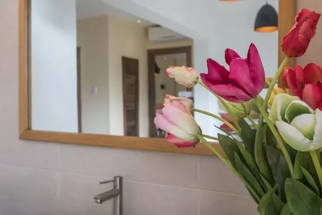 Çatı Katı Süiti (Penthouse), 2 Yatak Odası, Mutfak