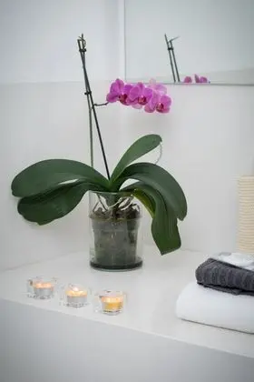 Deluxe Tek Büyük Yataklı Oda, 1 Büyük (Queen) Boy Yatak, Banyolu/Duşlu (Porta San Biagio)