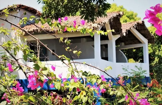 Comfort Bungalov