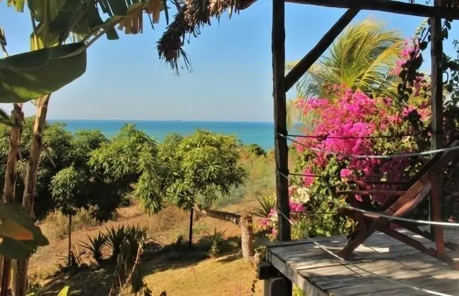 Comfort Bungalov