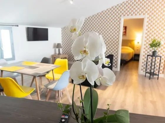 Deluxe Çatı Katı Süiti (Penthouse)