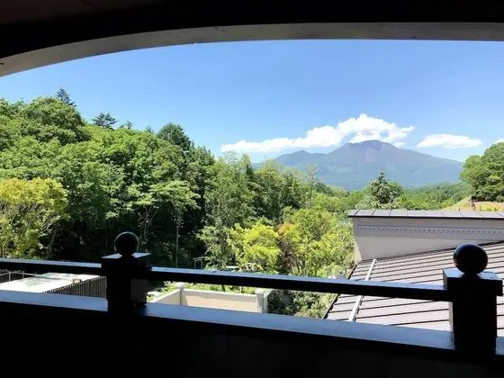 Deluxe Tek Büyük Yataklı Oda, Sigara İçilmez (Mt. Asama View)