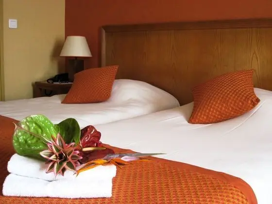 Tek Büyük veya İki Ayrı Yataklı Oda, Park Manzaralı