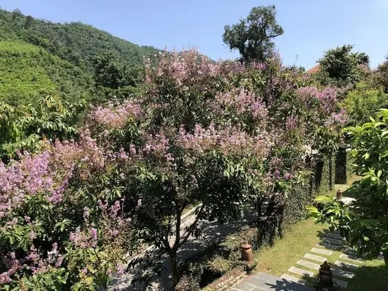 Villa, Dağ Manzaralı