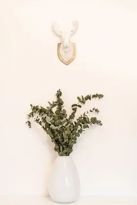 Premium Kır Evi, Banyolu/Duşlu (LE GROFT)