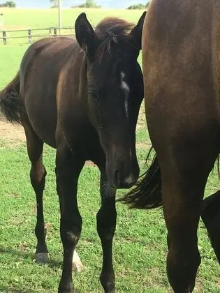 Comfort Süit, Banyolu/Duşlu