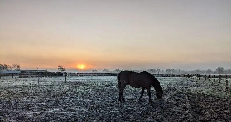 Family Süit, Banyolu/Duşlu