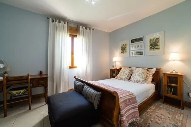 Deluxe Tek Büyük Yataklı Oda (Bleue)