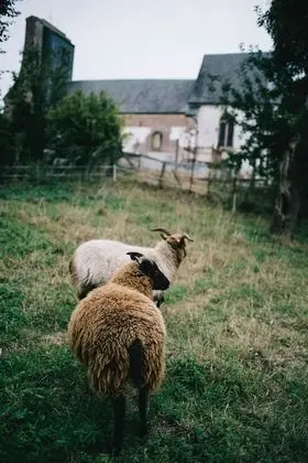 Premier Tek Büyük Yataklı Oda, Özel Banyo, Avlu Manzaralı
