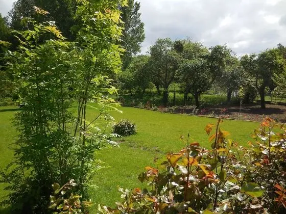 Premier Tek Büyük Yataklı Oda, Özel Banyo, Avlu Manzaralı