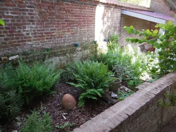 Premier Tek Büyük Yataklı Oda, Özel Banyo, Avlu Manzaralı