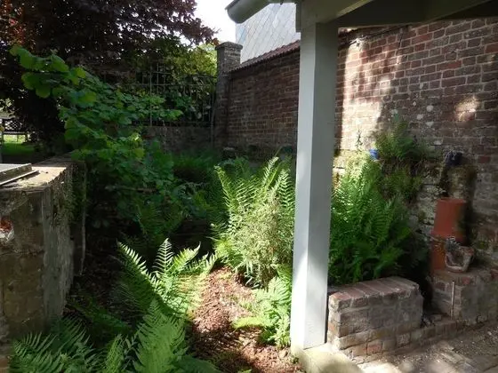 Premier Tek Büyük Yataklı Oda, Özel Banyo, Avlu Manzaralı